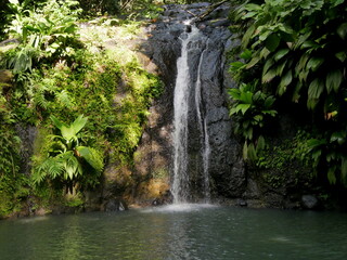 cascade de bis, tropical waterfall in the caribbean jungle, guadeloupe, sainte rose 