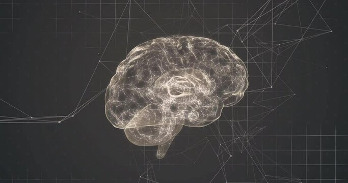 Animation of digital brain spinning over network of connections
