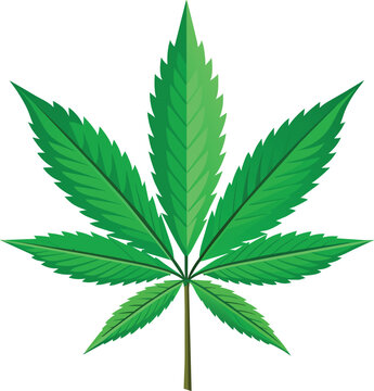 cannabis leaf logo, cannabis leaf isolated on a white background, Cannabis or marijuana leaf icon
