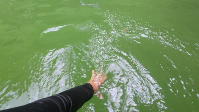 man's hand touching the water of a river or lake from a boat on a ride on the water on vacation