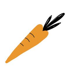 Carotte orange et noire