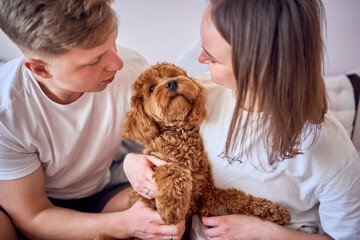young couple is holding a cockapoo dog in their arms on the bed