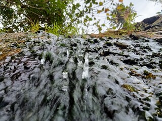 A waterfall is flowing over green mossy rocks in a forest