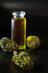 still life of dried marijuana buds and small glass transparent bottle filled with cannabis infused olive oil on black background