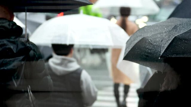雨の日の都会　傘をさして歩く人　スローモーション