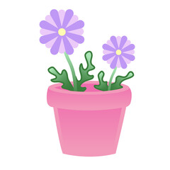 pot rose avec des fleurs violettes