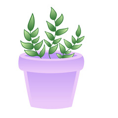 pot violet avec des plantes vertes