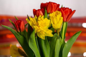 Bouquet of red tulips and yellow narcissus on white background