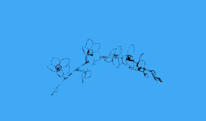 orchid black outline on a blue background