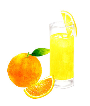 ファジーネーブル、オレンジジュース　飲み物（お酒）の手描き水彩イラスト素材