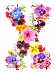 Typeface made out of colored spring flowers isolated on a white background the letter X