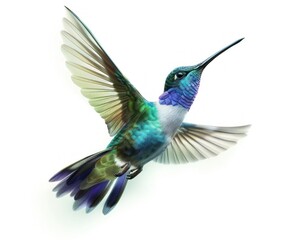 Obraz premium Iridescent Hummingbird in Mid-Flight on Pristine White Backdrop Generative AI