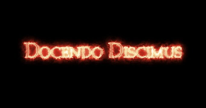Docendo discimus written with fire. Loop