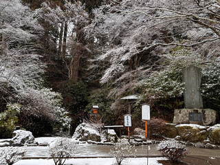 雪の積もった箱根神社庭園