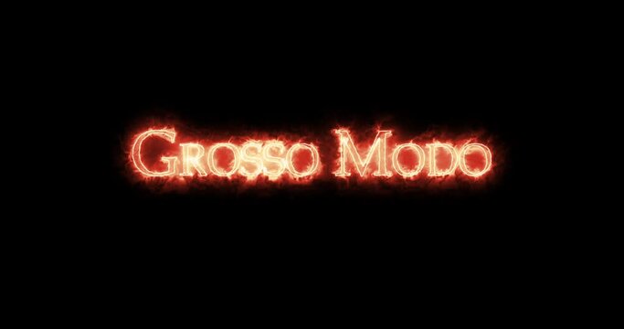 Grosso modo written with fire. Loop