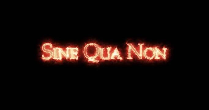 Sine qua non, without which not, written with fire. Loop