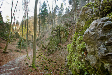 Landscape with rocks and woods. A forest in early spring.