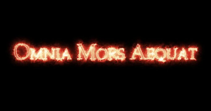 Omnia Mors Aequat written with fire. Loop