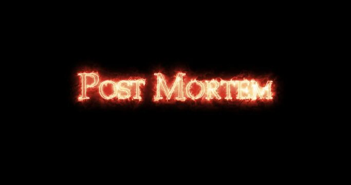 Post Mortem written with fire. Loop