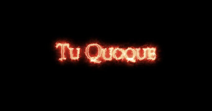 Tu Quoque written with fire. Loop