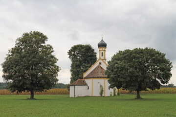 the church 