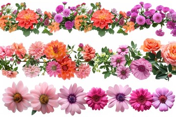 A collage of summer flowers and floral borders. Check out my portfolio for full size versions.