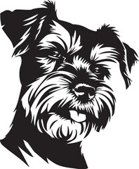 black and white Miniature Schnauzer dog illustration