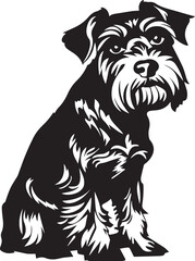 black and white illustration of Miniature Schnauzer dog