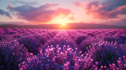 The sun dips below the horizon, casting a warm glow over rolling hills of purple lavender, creating a picturesque and calming landscape. - obrazy, fototapety, plakaty