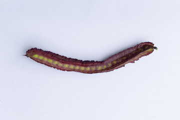Purple winged bean vegetable (Psophocarpus tetragonolobus) on white background