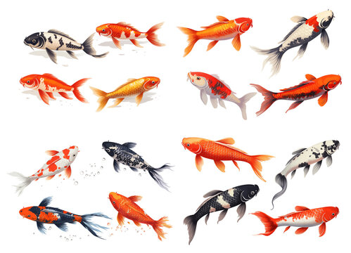 Satz Kois isoliert auf wei&szlig;em Hintergrund, Ausschnitt