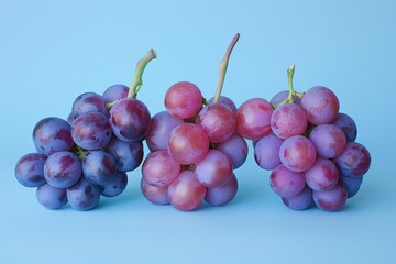 Fototapeta premium Trio of grape clusters in shades of purple and pink against a blue backdrop
