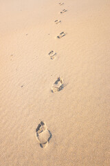 Fototapeta na wymiar human footprints in the sand of a beach