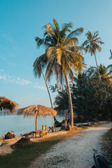 Palm-tree beaches and relaxation areas on the island