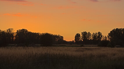 Sunsetover a landscape with meadow and trees in the flemish countryside