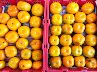 Persimmon at Chiang mai, Thailand