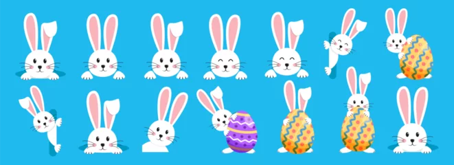 Abwaschbare Fototapete Höhenskala Easter rabbit, easter Bunny. Vector illustration.
