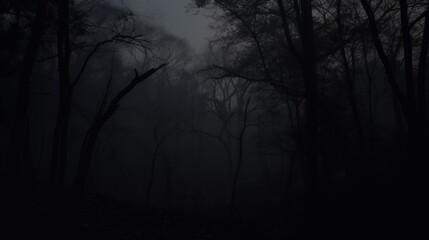 Fototapeta premium Fog enshrouds a silent forest in the depths of night
