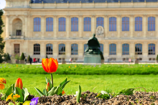 Jardin des plantes et galerie de l'&eacute;volution Paris