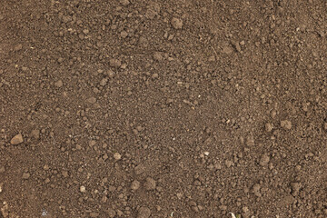Black soil is ready for seedlings. Brown soil in the homestead. Close-up of land in the garden, spring preparation for gardening. Good and clean moist soil in the greenhouse