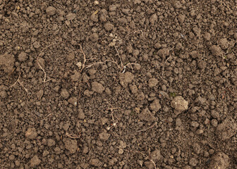 Black soil is ready for seedlings. Brown soil in the homestead. Close-up of land in the garden, spring preparation for gardening. Good and clean moist soil in the greenhouse