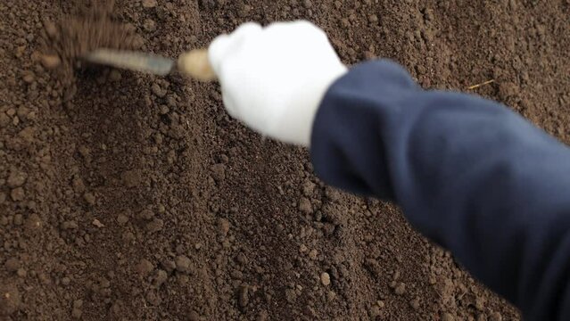 Black soil is ready for seedlings. Brown soil in the homestead. Close-up of land in the garden, spring preparation for gardening. Good and clean moist soil in the greenhouse