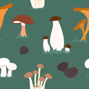 Mushroom seamless vector pattern. Edible autumn fungi icon. Mushrooms background, wrapping, textile, package print design. Boletus, chanterelle, champignon, honey fungus, porcini, truffle illustration