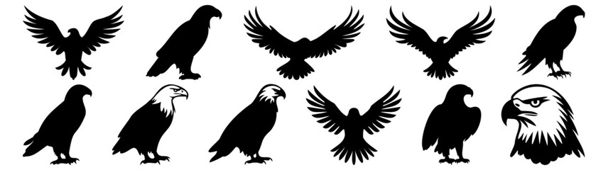 Eagle silhouette set vector design big pack of illustration and icon