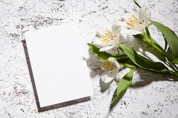 An upright white blank card presented on a splattered paint background, with white alstroemeria flowers
