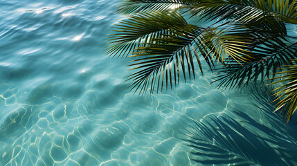 Fototapeta na wymiar palm leaf and water