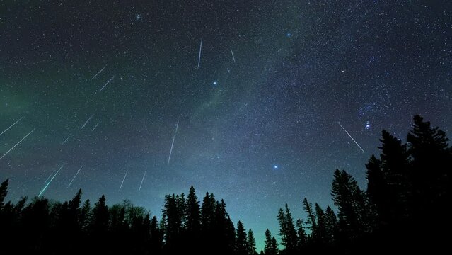 Time lapse composite of a meteor shower showing each meteor in succession resulting in the night sky filled with 30 meteors in a fan shape.

