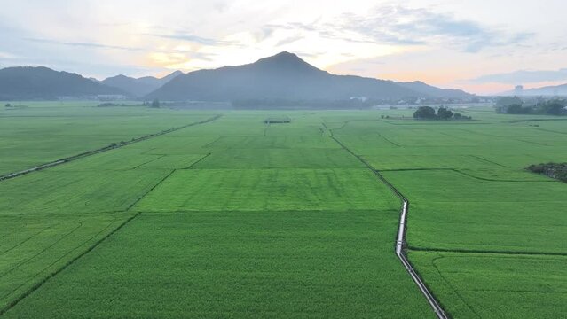 Nhìn từ trên cao trên một cánh đồng ở ngoại ô thành phố Nha Trang, Việt Nam.