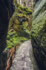 Trail in so called Siberia area in Adrspach-Teplice Rocks park near Teplice nad Metuji town in...