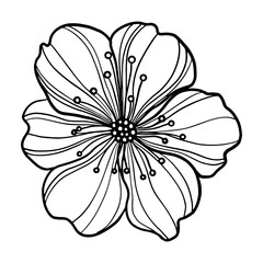 Spring flower on white background © MariiaMart